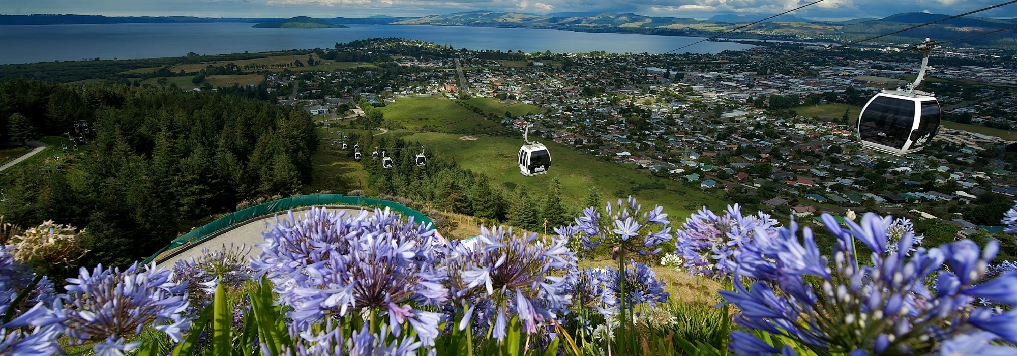 Rotorua Market Share Calculators Rotorua NZ