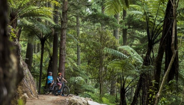 Gear up for a great ride in Rotorua