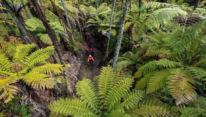 Plan your Rotorua mountain biking adventure