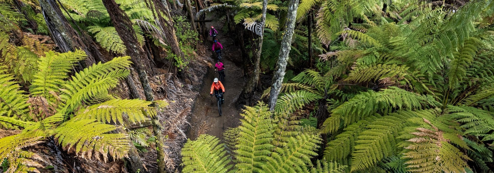 Plan your Rotorua mountain biking adventure