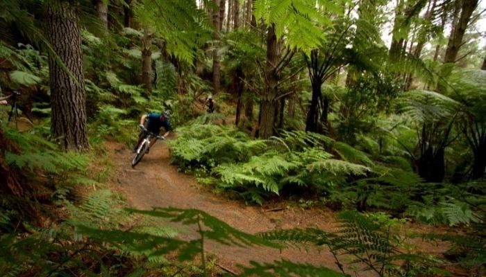 Crankworx Rotorua: Plan your biking adventure