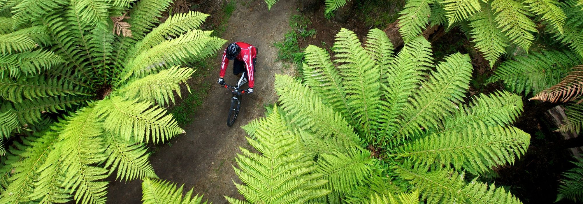Crankworx Rotorua: There really is a cycle trail for everyone