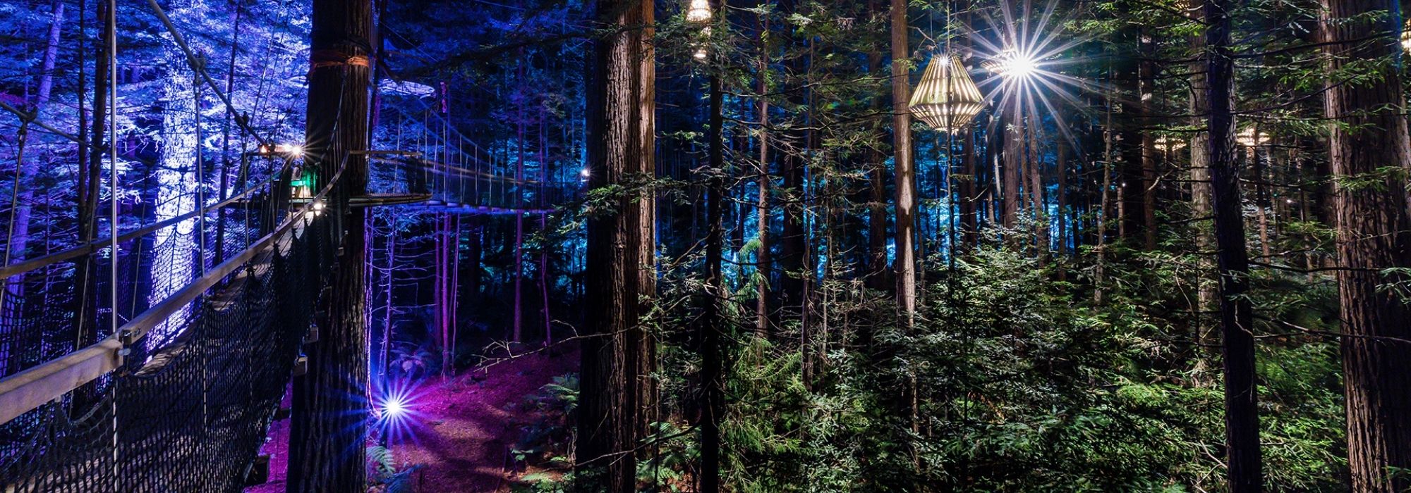Lonely Planet names Redwoods Nightlights number 2 in the world