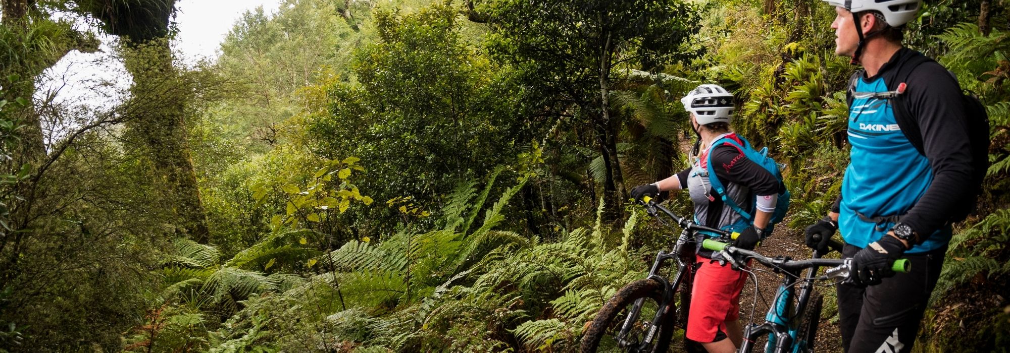 Mountain bike trail lowdown: Find your perfect match